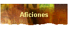 Aficiones