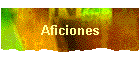 Aficiones